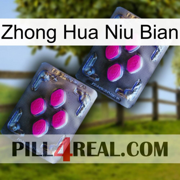 Zhong Hua Niu Bian 01.jpg